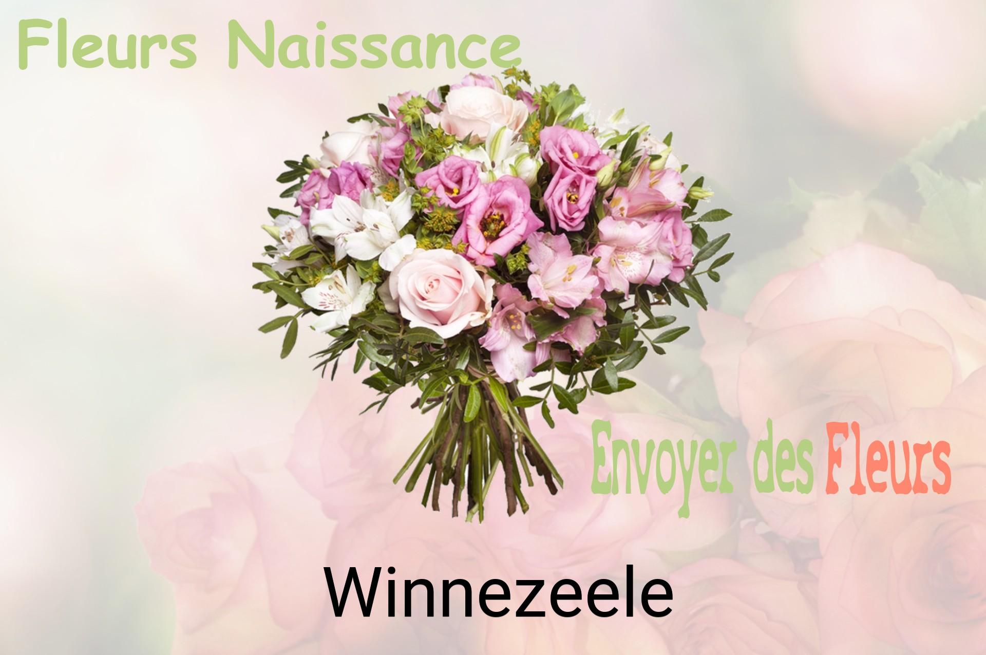 Bouquet de fleurs de naissance livré à Winnezeele